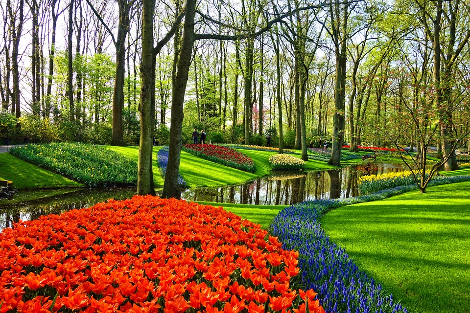 Travailler la terre de votre jardin avec un motoculteur Design Obsession