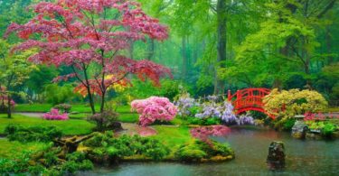 jardin japonais